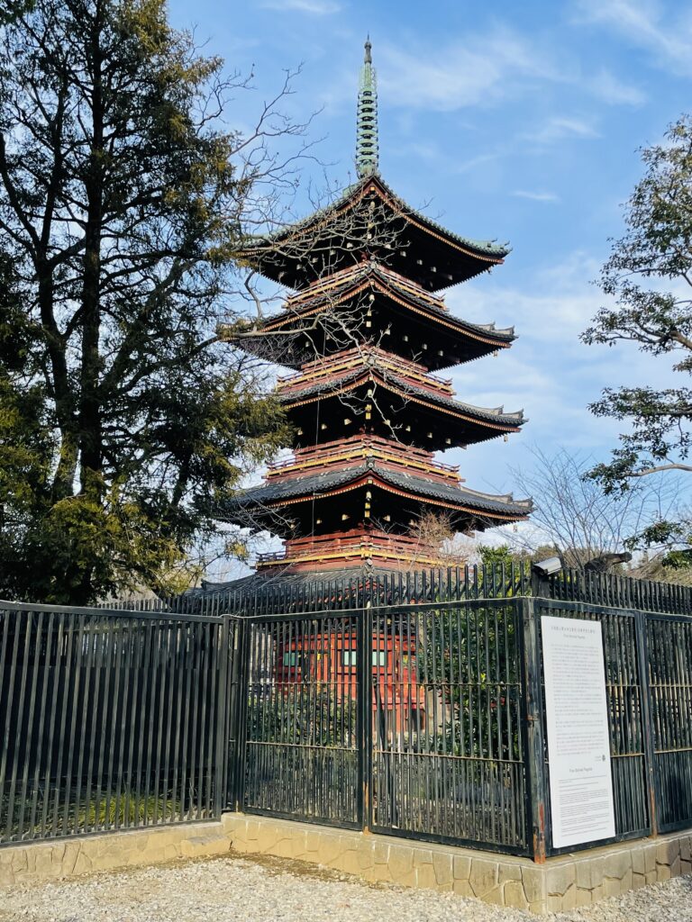 寛永寺の五重塔