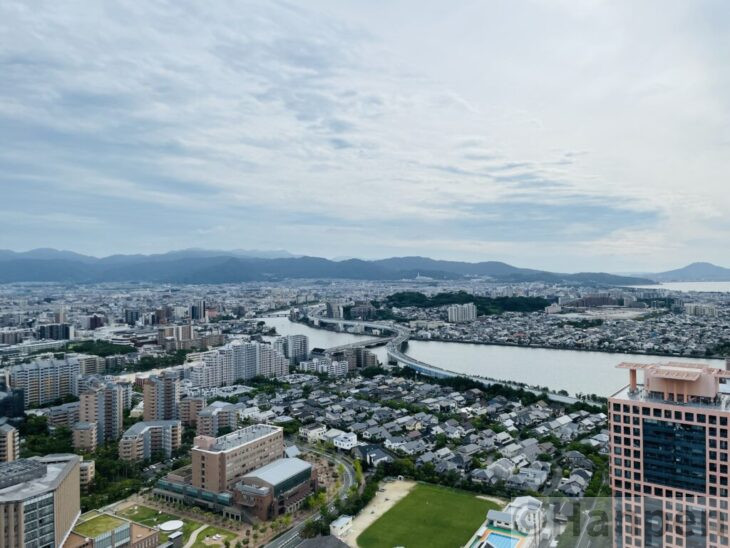 福岡タワーからの景色