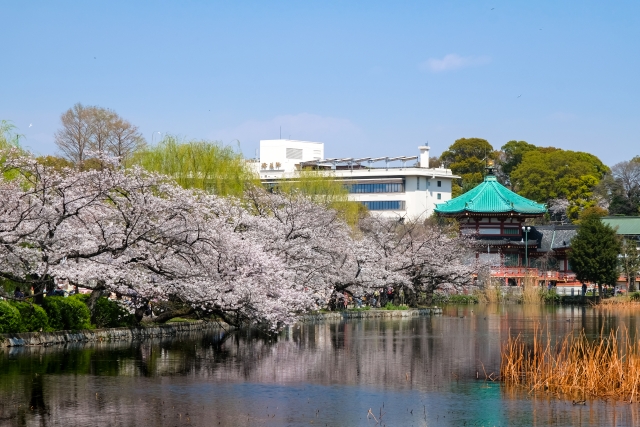 不忍池弁天堂と桜