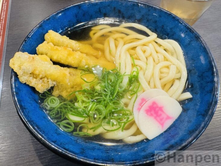 資さんうどんのごぼ天うどん