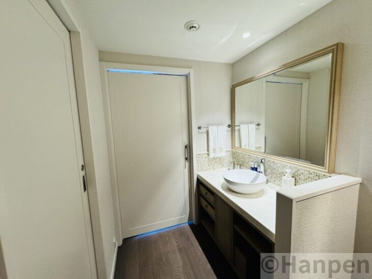 客室ないの洗面・廊下